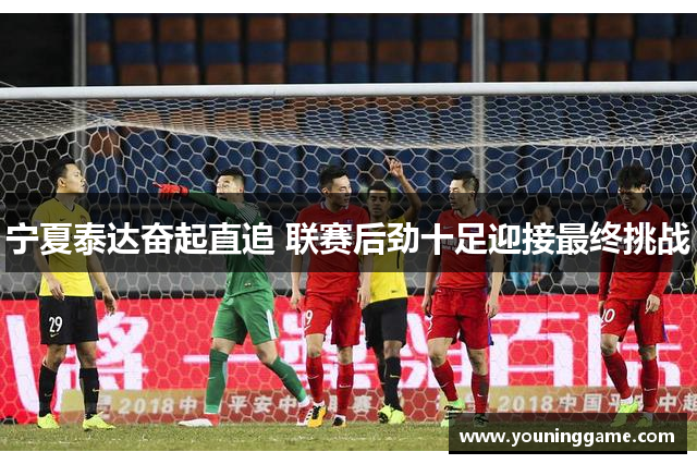 宁夏泰达奋起直追 联赛后劲十足迎接最终挑战
