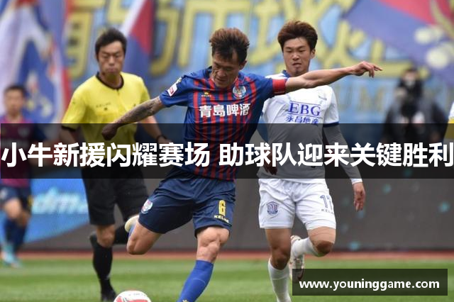小牛新援闪耀赛场 助球队迎来关键胜利