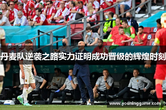 丹麦队逆袭之路实力证明成功晋级的辉煌时刻